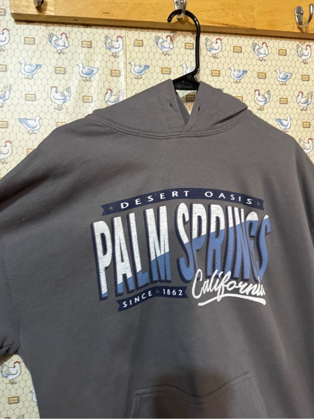 Gildan Gray Hoodie with Blue & White Palm Springs Graphic